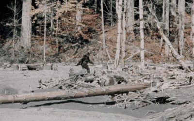 Does the Mormon Church have an official position on Bigfoot?