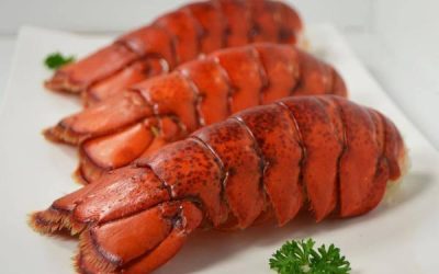 Is it against God’s will for us to eat shellfish?