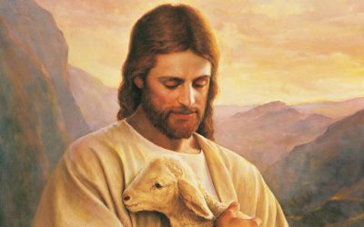 Why do the scriptures say Jesus is the only begotten?