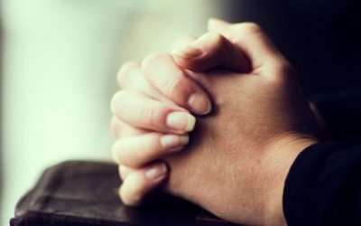 Maybe you could help me. I’ve looked at sites in the Old Testament but haven’t found any help. Deut 21; 18-21 doesn’t seem right….stubborn & rebellious sons may be put to death by stoning??