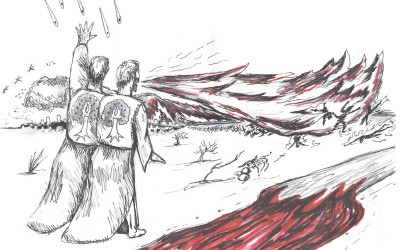 Where do we find information about the two apostles who will be killed in the streets of Jerusalem?