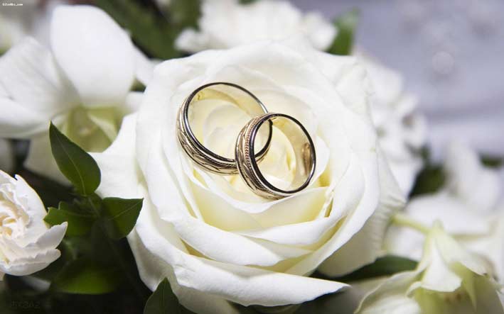 wedding rings1