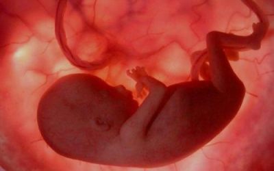 If one has a miscarriage, does that spirit stay in heaven to wait to be reunited with its parents?