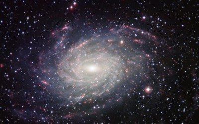 Did the inhabitants of other worlds go through the same process of a pre-existent state?