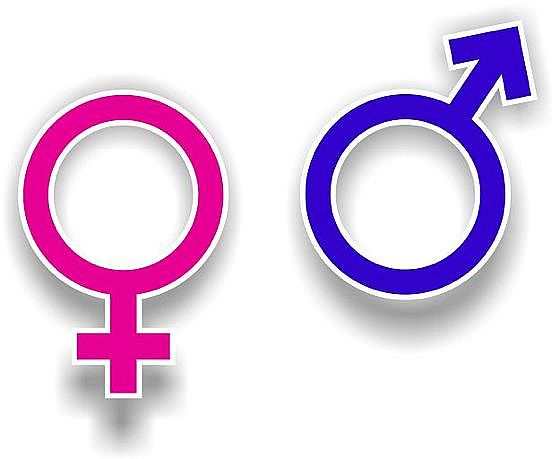 Should LDS acknowledge those who change genders by their new identity?