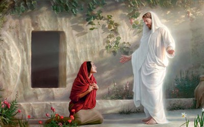 What are the differences between exalted, resurrected and translated beings?