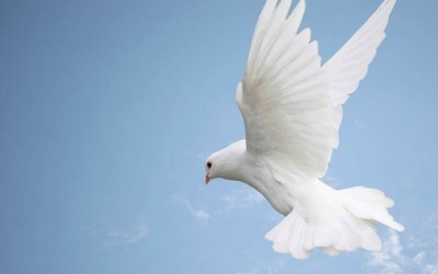 What does it mean to receive a fulness of the Holy Ghost?