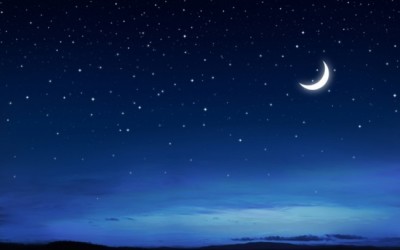 Are there 3 degrees in the Terrestrial Kingdom?
