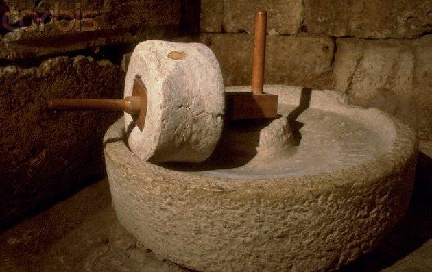 Why do we use olive oil for consecrated oil?