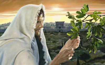 Was Jesus Christ the first person to be resurrected?