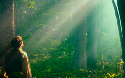 Why are there contradicting accounts of the First Vision by Joseph Smith?