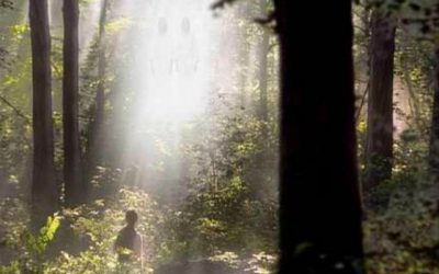 How was Joseph Smith able to see the Father?