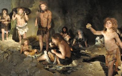 How do I explain Neanderthals to an investigator?