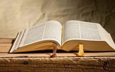 How do I respond to others who don’t believe in the Bible literally?
