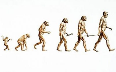 Why doesn’t the Church teach evolution theories?