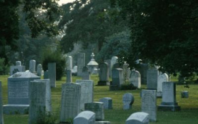 Is there no work, knowledge or wisdom in the grave?