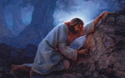 What is the purpose of the suffering mentioned in D&C 19:16-17?