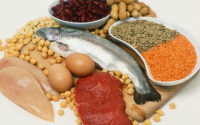 Does Section 89 in the Doctrine and Covenants proscribe against the use of both grain and meat?