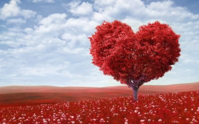 How does one truly obtain a pure heart?
