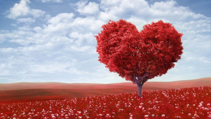 How does one truly obtain a pure heart?