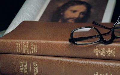 Why don’t the missionaries hand out bibles along with the Book of Mormon?