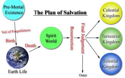 Who is the author of the Plan of Salvation?