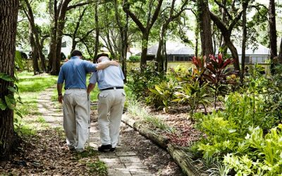 Is there ever a time when you don’t have to honor your parents?
