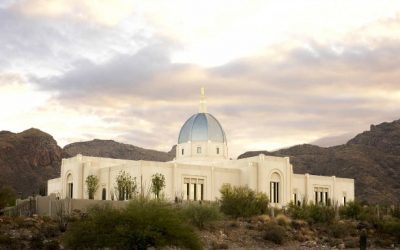 Do I need to do temple work for my babies who died shortly after birth?