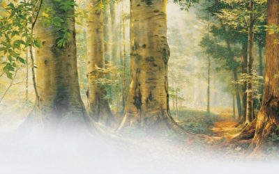 How can our faith be true if people from other faiths also get spiritual confirmation regarding their religion?