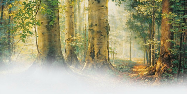 How can our faith be true if people from other faiths also get spiritual confirmation regarding their religion?