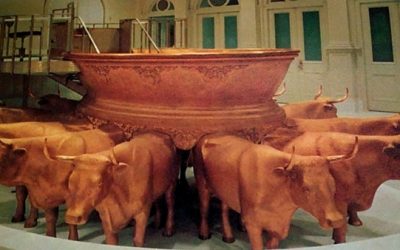 Oxen in the temple?  What is the earth’s location during the millennium?