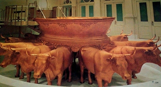 Oxen in the temple?  What is the earth’s location during the millennium?