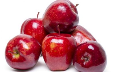 Was the forbidden fruit really an apple?