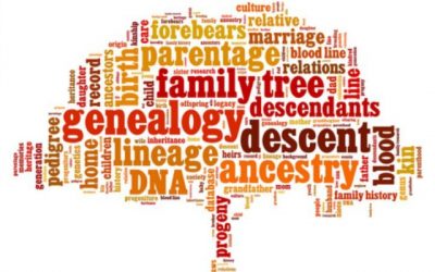 Can you be from two different tribes?
