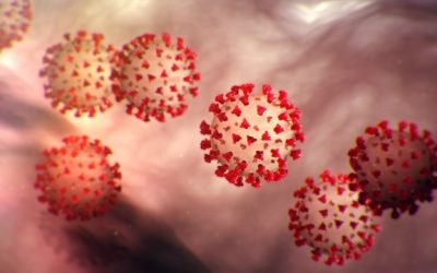Have people learned anything from the COVID-19 pandemic?