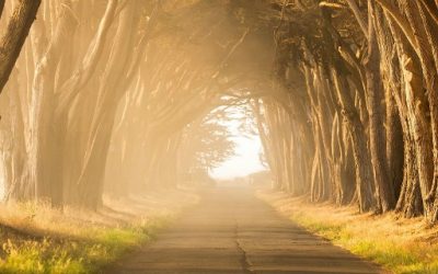 After reading D&C 50:42, how do I know if I am one of those that the Father gives to the Son?