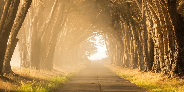 After reading D&C 50:42, how do I know if I am one of those that the Father gives to the Son?