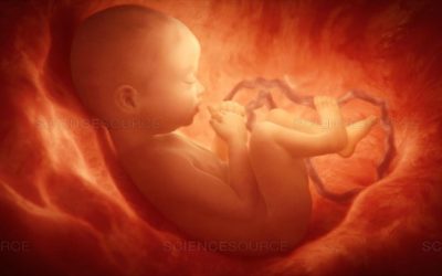 Is the sin of abortion on the head of both the man and the woman?