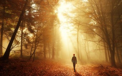 What is God’s Covenant Path?