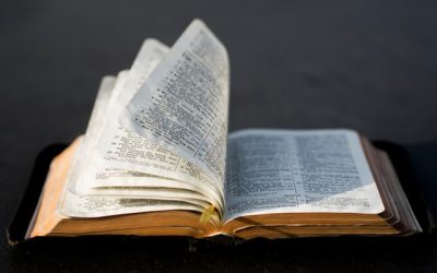 Does the Bible contain the fulness of the gospel?