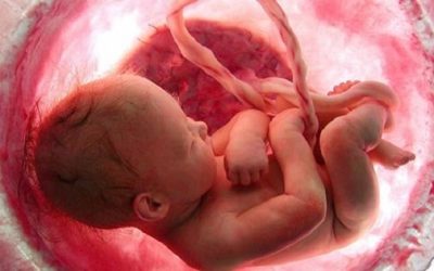 What happens to a baby who dies in utero?