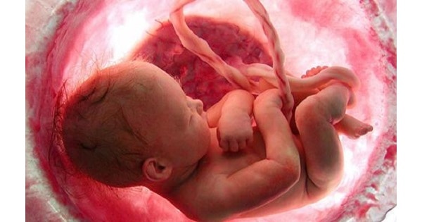 What happens to a baby who dies in utero?