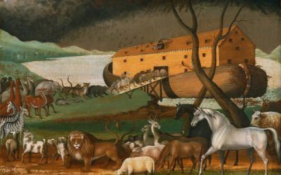 How did the animals fit on the ark and what about those kangaroos?