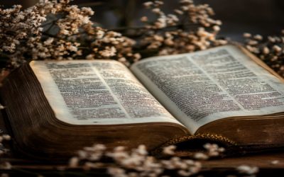 What is being implied in Ecclesiastes 7:16-18?