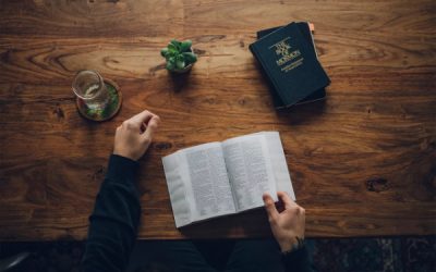If the Book of Mormon doesn’t contradict the Bible, why do we need it?