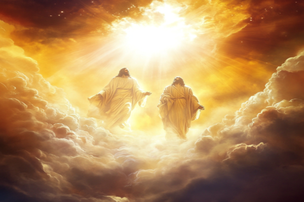Did Christ enter into a covenant with the Father?
