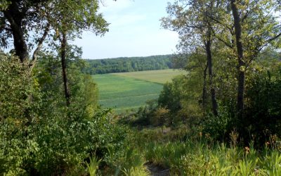 Will the Sacrament at Adam-ondi-Ahman happen before Christ returns?