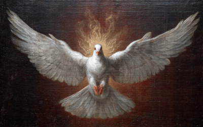 Did the Holy Ghost actually go into the body of the dove at Jesus’ baptism?
